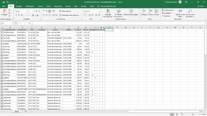 Exportierte Projekte Liste in Microsoft Excel